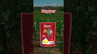 Indofil Sapper Insecticide for sucking pests  Farm Frontier agriculture pestcontrol farming [upl. by Marice195]