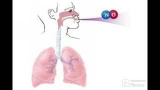 lossido nitrico nell asma bronchiale [upl. by Connett]