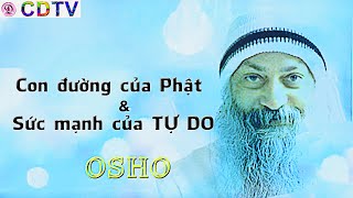 Osho sách nóiSức mạnh của tự dothư giãnngủ ngontrích ch 1amp3Dhammapada t 10con đường của Phật [upl. by Ahsiener]