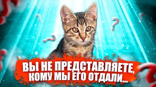 Вы не представляете кому мы отдали этого котенка  SANI vlog [upl. by Eirol]