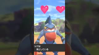 ドクロッグ Toxicroak 【ポケモン剣盾】 [upl. by Anilave875]