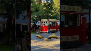 Старосінна площа 🚋 odesa україна [upl. by Yate57]