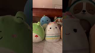 Squishmallo collection this isn’t even all of them squishmallow squishmallowsquad capcut [upl. by Nahgrom975]