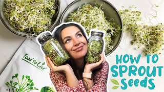 HOW TO SPROUT SEEDS  EASY GUIDE  Foolproof Method [upl. by Anifad]