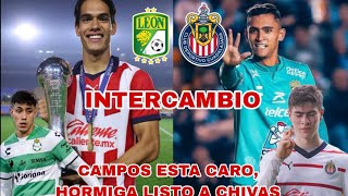 🚨INTERCAMBIO CHIVASLEON  PUENTEAMBRIZ  HORMIGA CONFIRMADO AL PRIMER EQUIPO  NOTICIAS CHIVAS HOY [upl. by Chabot]