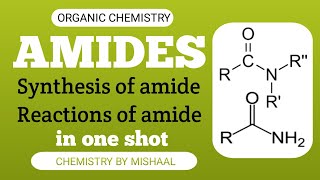 Amides Synthesis and Reactions Complete amides in one shot  Bs Chemistry [upl. by Ibrad]