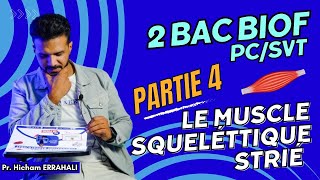 2 BAC BIOF Partie 4 LE MUSCLE SQUELETTIQUE STRIÉ [upl. by Olgnaed72]