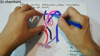 CVS 236  Patent ductus arteriosus  Left to Right shunt Fetal circulation [upl. by Alcina]