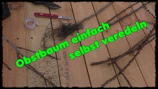 Obstbaum einfach selbst veredeln  vermehren Thumpfyland österreichischer Gartenyoutuber [upl. by Thorny]