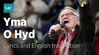 Yma o Hyd  Dafydd Iwan  Dafydd Iwan sings Yma o Hyd with lyrics and English translation  S4C [upl. by Geminius]