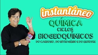 Ciclos Biogeoquímicos  Química  Leila da Gama  Instantâneo [upl. by Daisi]