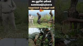 Cameras installed to monitor tiger movement in Gudalur  Sun News [upl. by Anole]