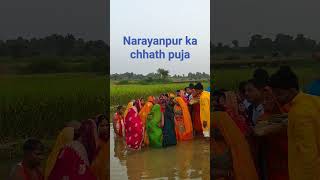 chhath pujashortsvideo [upl. by Ahsikad]