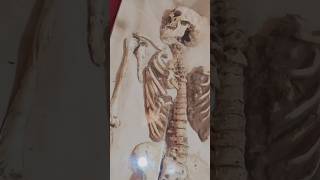 Man Skeleton Harappa Pakistan shorts history [upl. by Nileuqaj174]