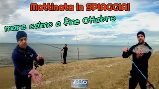 In spiaggia in una calda mattinata di fine Ottobre [upl. by Frodi]