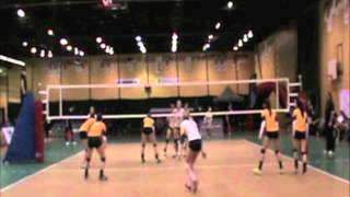 Jolande Amoraal  Libero  Highlight Reel 2015 [upl. by Anirak]