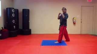 Jumping Roundhouse Kick Tutorial [upl. by Yklam]