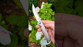 Kizer Begleiter Titanium [upl. by Alben740]