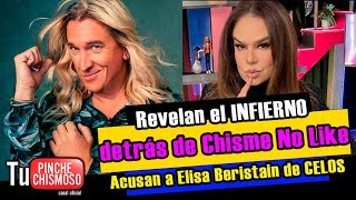 ¡Revelan el INFIERNO detrás de Chisme No Like 😱 Acusan a Elisa Beristain de CELOS y MALOS TRATOS 💥 [upl. by Icart]