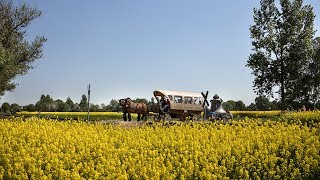 Eine Glocke auf Wanderschaft [upl. by Solon]