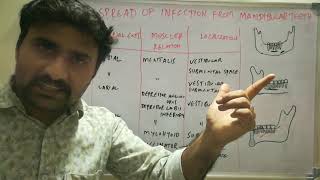 Spread of infection from mandibular teeth [upl. by Acitel]