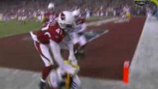 Super Bowl 43 Santonio Holmes Game Winning Catch [upl. by Akeemahs]