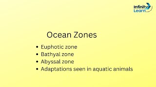 Ocean zone Euphotic zone Bathyal zone Abyssal zone Science [upl. by Komsa]