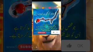 Prayer for children islam quotes urdu poetry explore viralvideo shortsfeed youtubeshorts [upl. by Ledniahs229]