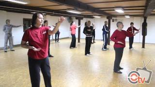 Tai Chi klub San Bao Osijek [upl. by Demp]