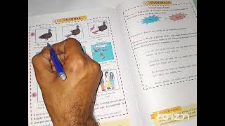 Sindh Text  Class Four  English  Unit 44  Exercise 4 [upl. by Demmahom]