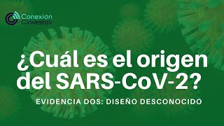 ¿Cuál es el origen del coronavirus evidencia2 [upl. by Mauricio330]