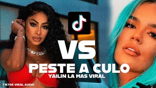 Yailin Tiradera para Karol G 👉 La Bichota Responde asi 😂  Audio Viral Tiktok 2022 [upl. by Ahsat]