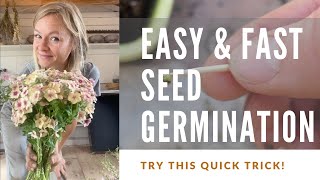 Germinate seeds for the garden with this trick [upl. by Tecu]