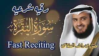 ruqya sharia for black majic  fast reciting Surah AlBaqarah Mishary Rashid Alafasy  سورة البقرة [upl. by Llerrot833]