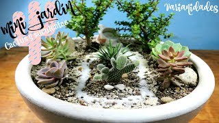 MINI JARDÍN DE CACTUS Y SUCULENTAS 🌵🌵 Decoración  Varianidades D [upl. by Yeltrab996]