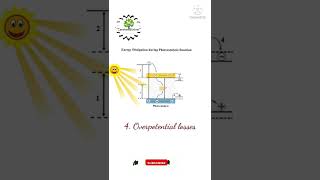 Photocatalysis Concepts  Energy losses  Shorts [upl. by Dreyer]