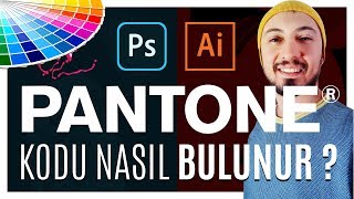 Pantone Renk Kodu Nasıl Bulunur Adobe İllustrator ve Photoshop [upl. by Omar21]