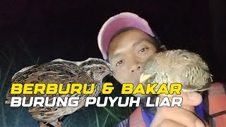 BERBURU PUYUH LIAR DI HUTAN [upl. by Lhamaj]