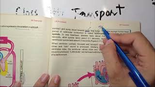 Pulmonary and Systemic circulation  heartbeat  Pulse and Heart rate  9th class Biology chapter 9 [upl. by Nyrhtac]