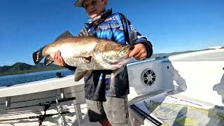 Lake Proserpine Barra with the Average Angler [upl. by Crotty]