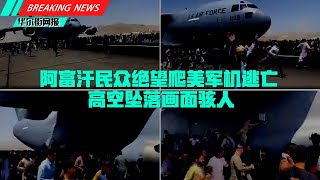 阿民众绝望爬美军机百米高空坠落；北京高层对塔利班心情复杂：一怕乱疆二怕废钱；央视播一条狗的回家路引联想；索罗斯基金清仓腾讯音乐百度唯品会；王靖渝未婚妻称发现中国境外黑监狱；高盛大增持阿里贝莱德抛售 [upl. by Liam842]