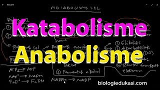 Metabolisme Sel Katabolisme dan Anabolisme [upl. by Morrie80]