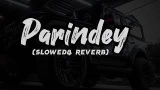 Parindey Yaar Slowed Reverb song Haryanvi Lofi song slowed [upl. by Marzi613]