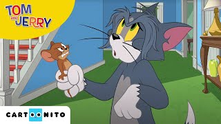 Tom i Jerry Show  Zimowe przygody  Cartoonito [upl. by Auroora]