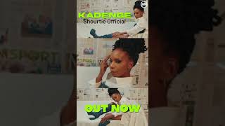 Shourtie Official  Kadenge Out Now [upl. by Alurta147]