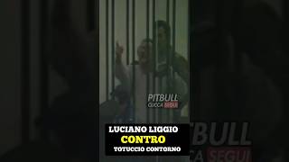 Liggio urla «Sei un farabutto» Contorno Risponde [upl. by Atsev]