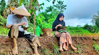 CANTIK ALAMI Gadis Desa Sukabumi Botram Di Tengah Sawah NIKMAT  Indonesian Girl Rural Life [upl. by Beberg277]