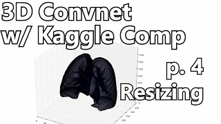 Resizing Data  3D Convolutional Neural Network w Kaggle and 3D medical imaging p4 [upl. by Annaes]