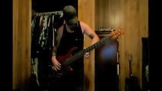 Primus  Wynonas Big Brown Beaver Bass Cover [upl. by Seyer605]