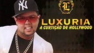 neto lx banda luxuria as mais tocadas Dalmo 1 danado [upl. by Dymoke]